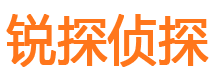 定边市私家侦探